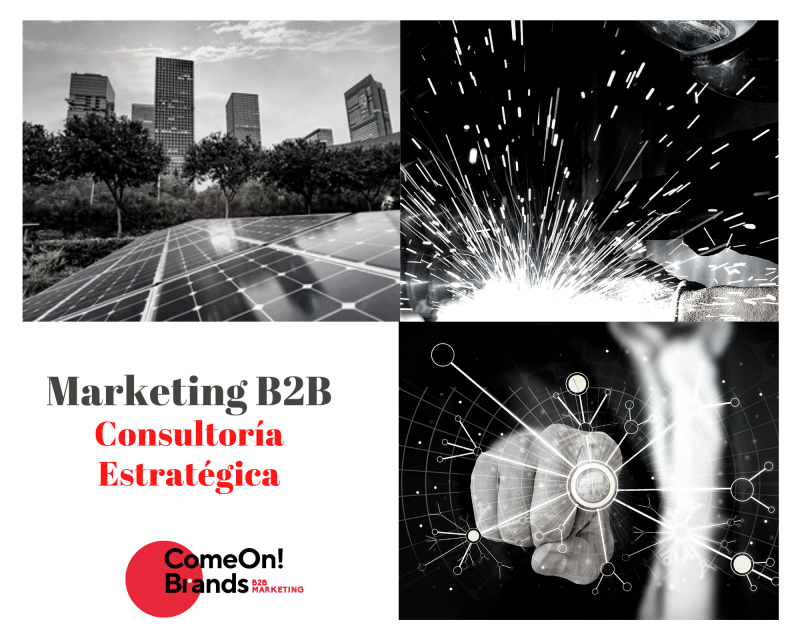 Marketing b2b Consultoria Estrategica MARKETING b2b