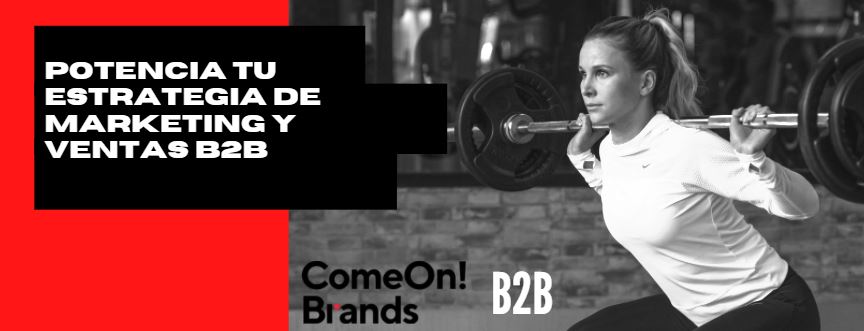 Marketing y Ventas B2B