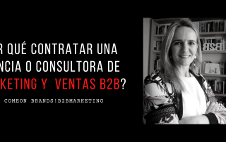 Agencia o consultora Marketing y Ventas B2B
