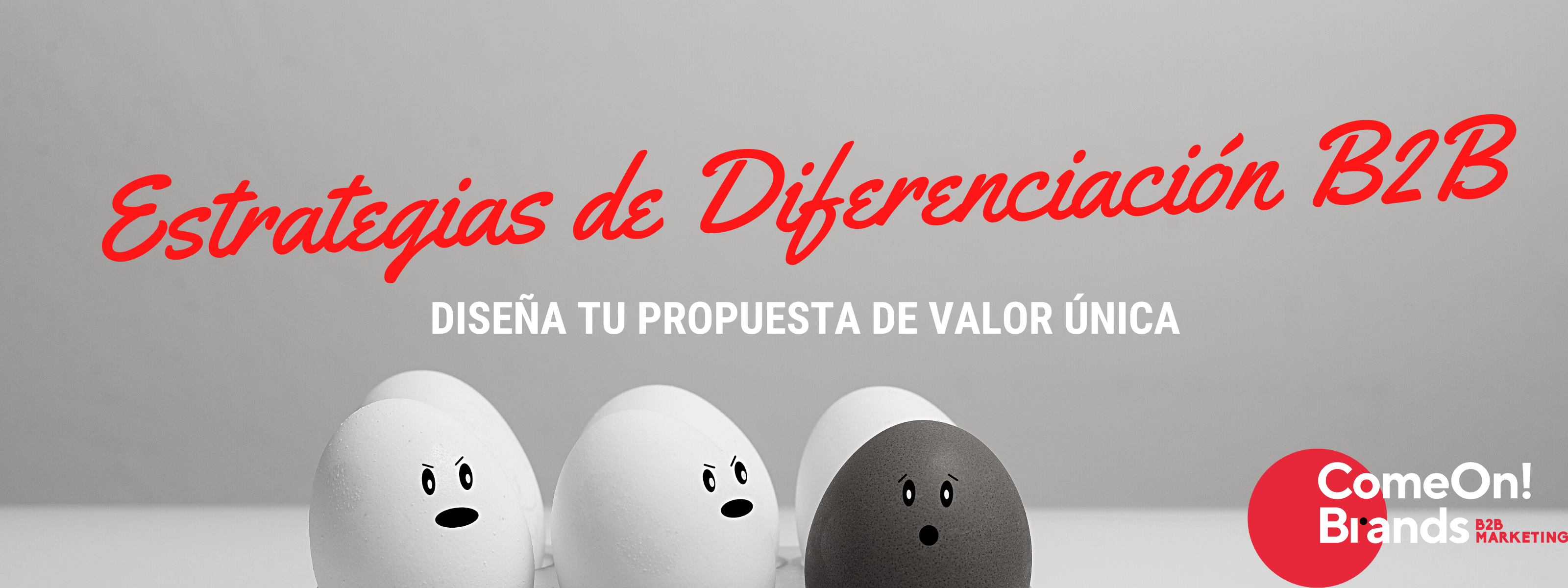 Propuesta de Valor B2B