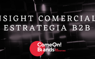 INSIGHT COMERCIAL Y ESTRATEGIA MARKETING B2B