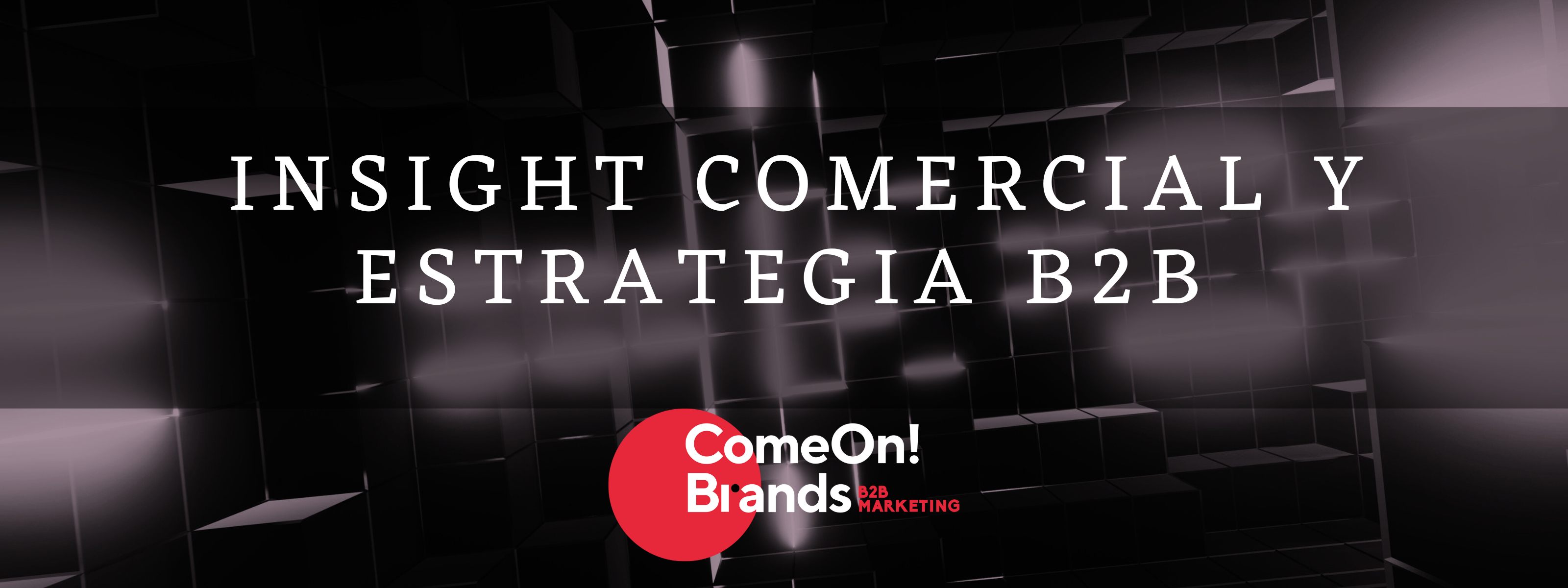 INSIGHT COMERCIAL Y ESTRATEGIA MARKETING B2B